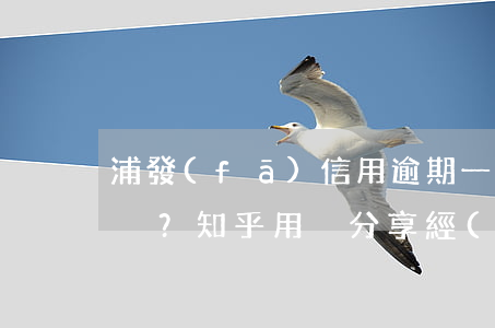 浦發(fā)信用逾期一天會有什么后果？知乎用戶分享經(jīng)驗